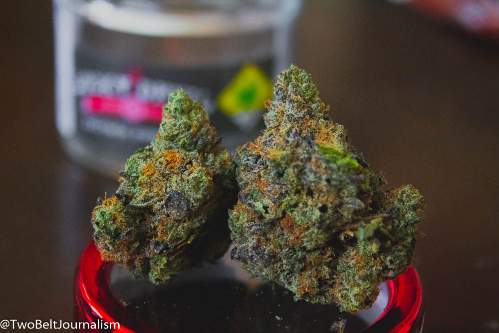 Learn Why The Gelato Strain Is One Of The Most Popular Cannabis Strains In The World