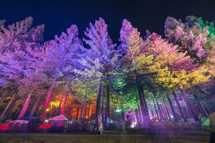 Northern Nights Is The First Music Festival To Sell Weed (Legally) Redwoods-@kristinabaky