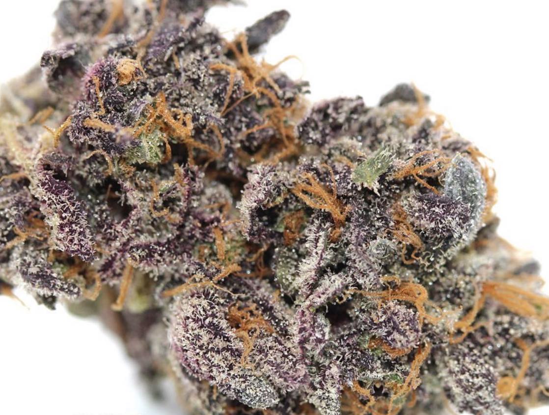 The Sunset Sherbet Strain Is Popular For Its Sweet Flavor and Luxurious Eff...