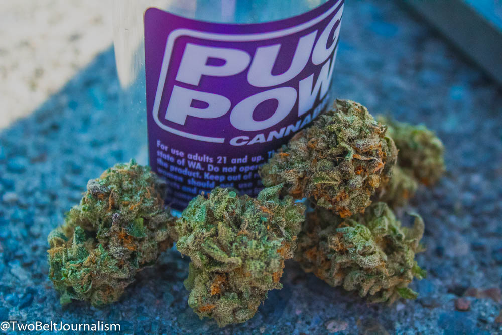 Kush Lovers Rejoice Over The Ice Cream Cake Strain From Puget Power Cannabis - Review
