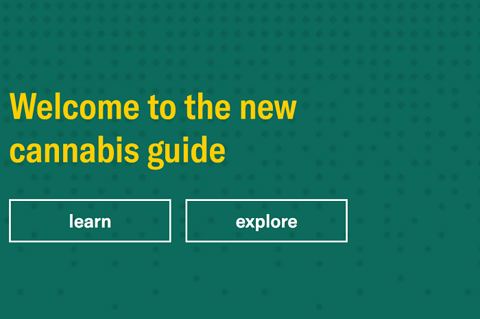 Leafly Creates New Visual Language With Their Leafly Cannabis Guide Using Shape, Color, And Effects