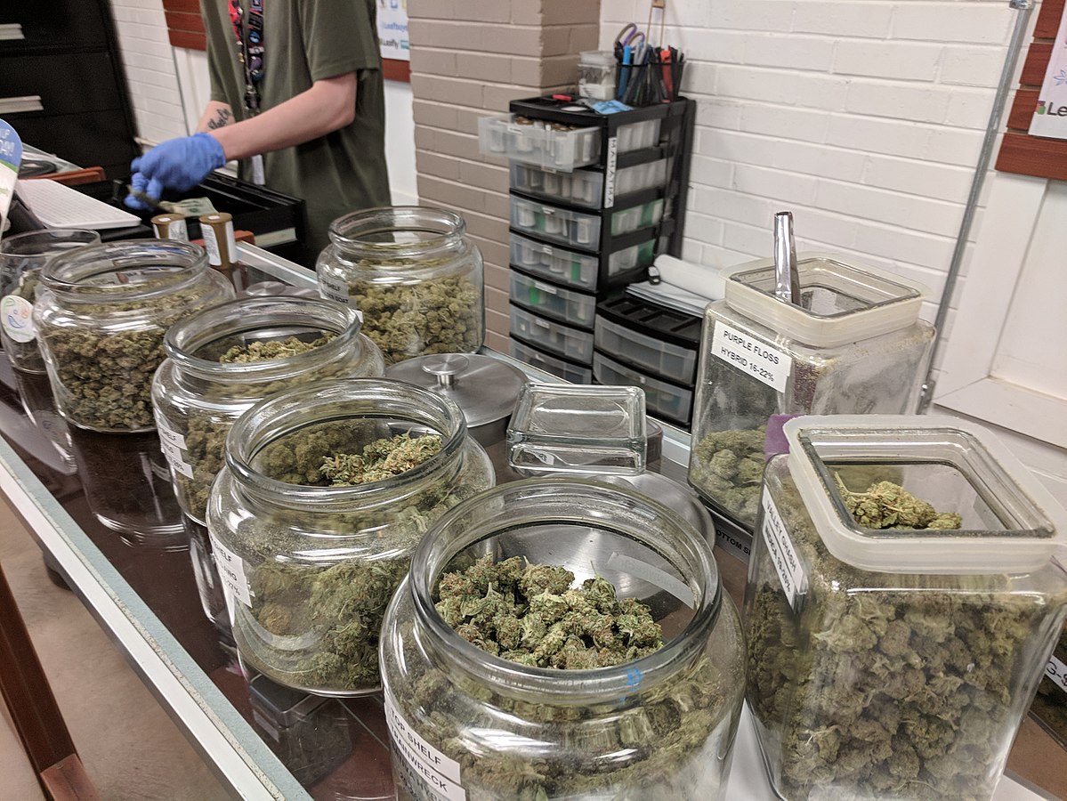 Denver Dispensaries Failed A Series Of Mold Tests At An Alarming Rate