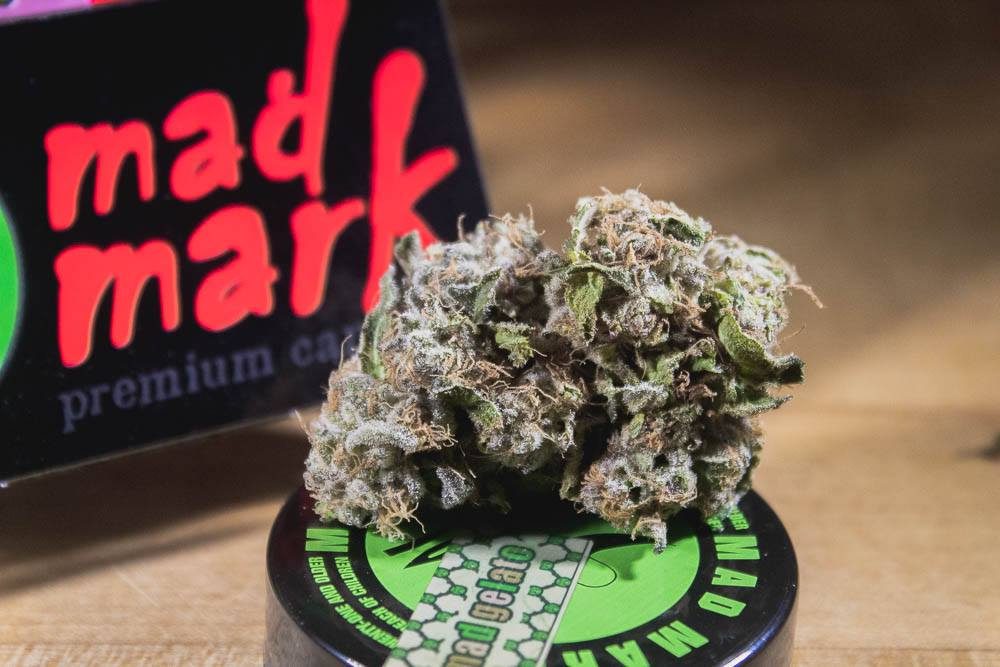 West Coast Weed Tour  Washington Awards: Best Flower These Are Your 2019 West Coast Weed Tour Awards Mad Gelato From Mad Mark Farms Is What Gelato Should Be