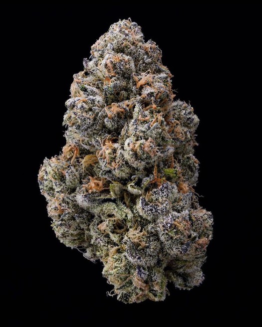 Tranquil Forest Has A Hit With Their Mac Miller Strain