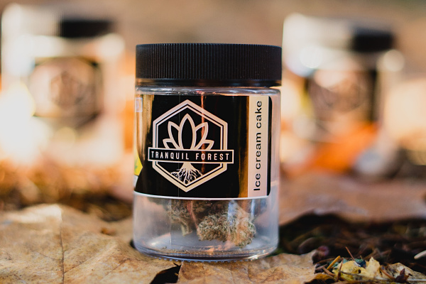The Ice Cream Cake Strain From Tranquil Forest Is Sweet Doughy And Filling