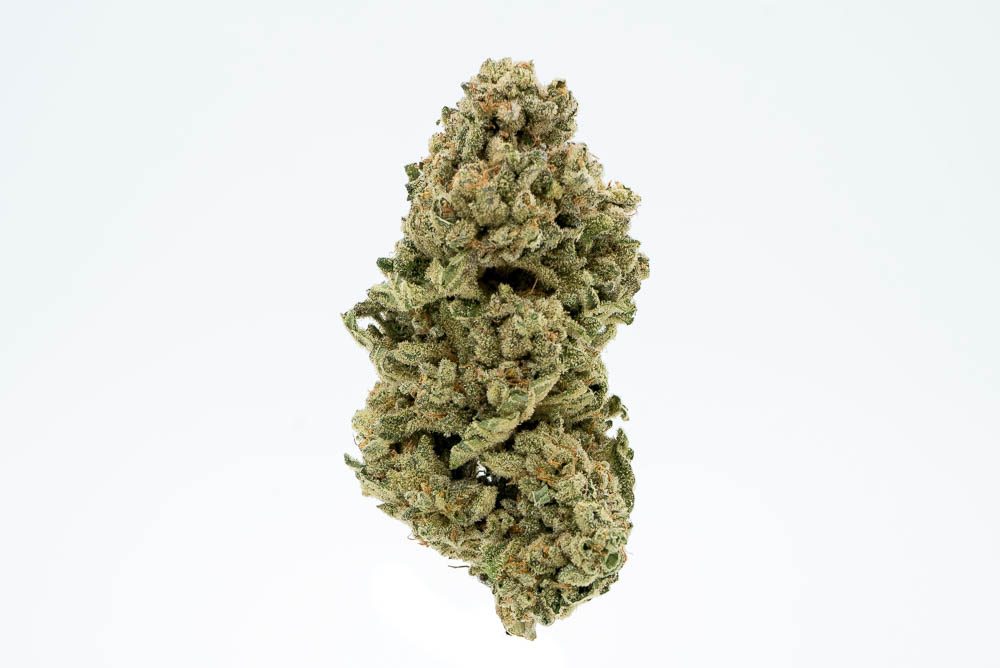 ZoZ's Orange Cake Strain Takes The Cake For Citrus Flavor