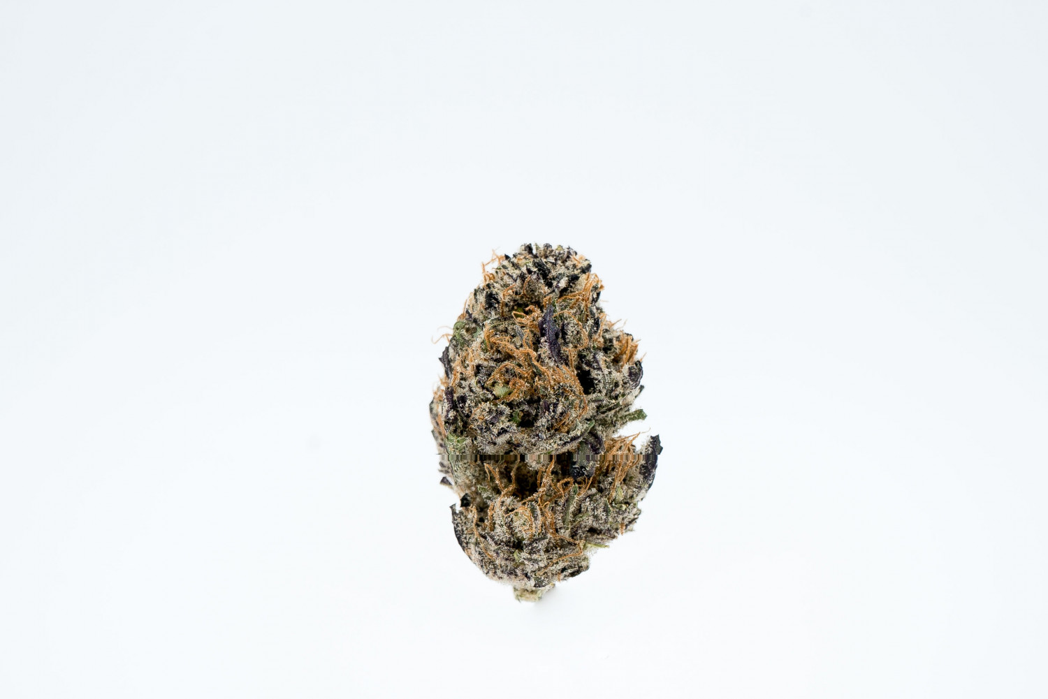 DJ Short Blueberry From Rosebud Growers Is Classically Fruity And Loud