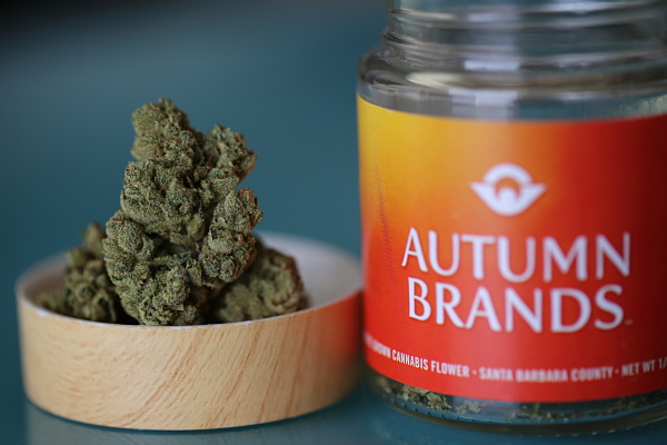 Autumn Brands Brings Dutch Farming Practices To Cultivating Pesticide-Free Sun-Grown Cannabis—An Interview With Co-Founder Hanna Brand