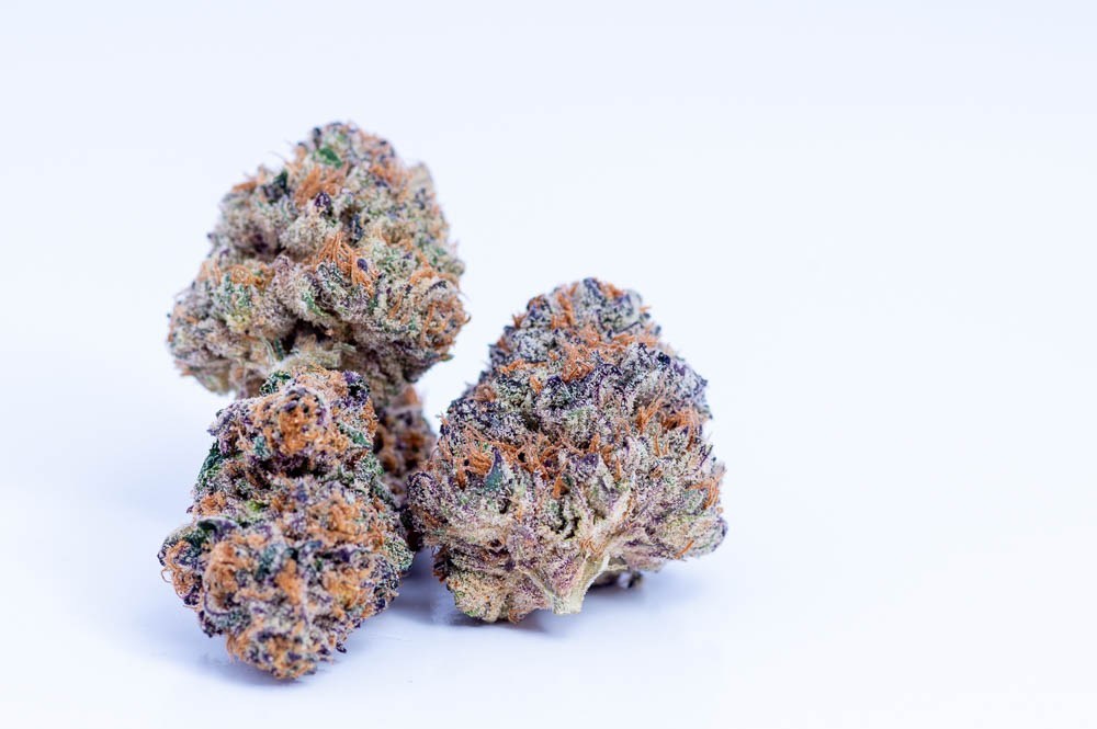 Taste The Tropics With The Pungent Slurricane Strain