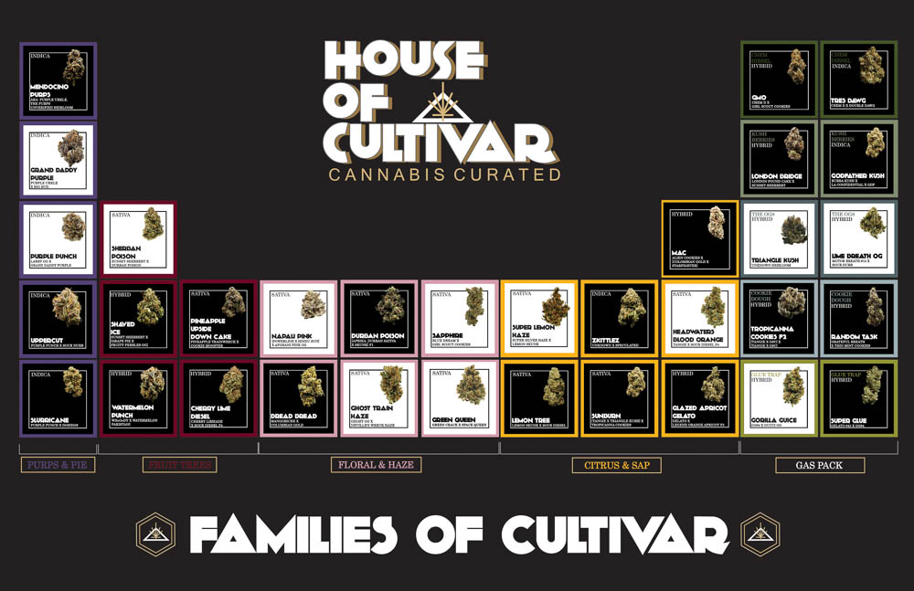 House Of Cultivar's 'Families of Cultivar' Aim To Expand Consumers' Knowledge of Cannabis Genetics