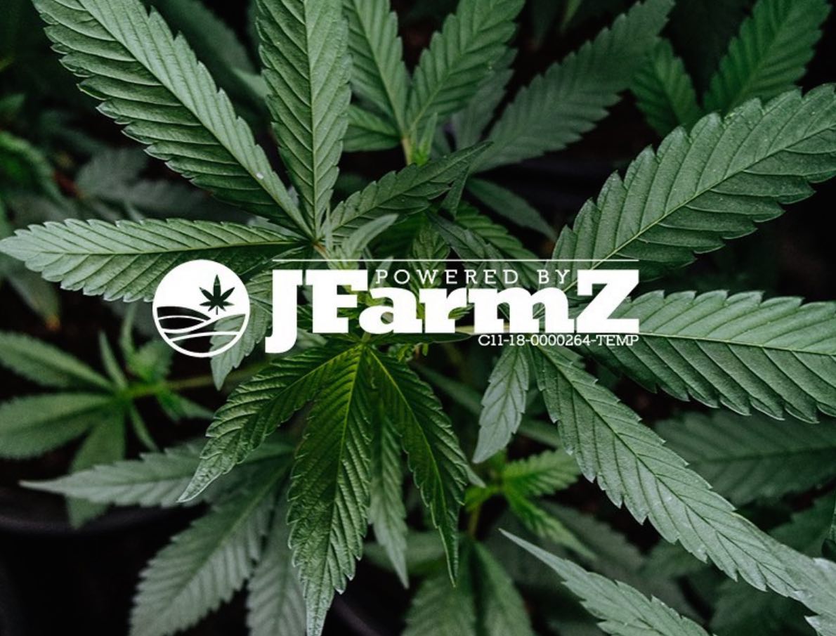 JFarmz Provides Chef Curated Cannabis For The Hungry Cannasseurs Of LA—Interview With Founder Jason Harley