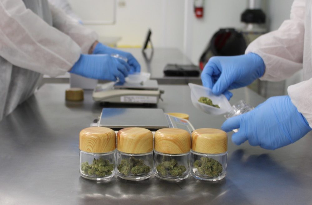 NewTropic Launches Groundbreaking Cannabis Manufacturing Facility  in Santa Rosa, California