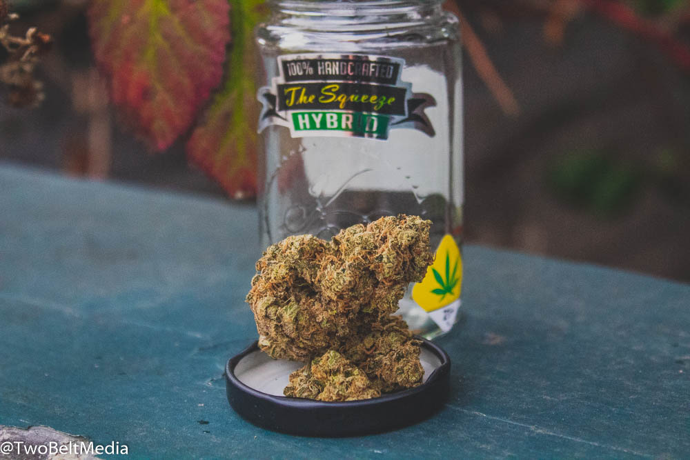 Kush Brothers' The Squeeze Strain Is An Ode To Legendary Lemon G Strain Genetics