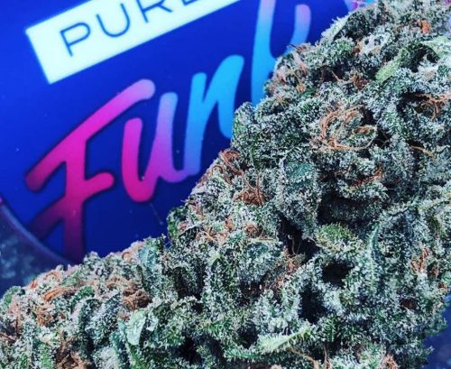 Good Karma Coalition (GKC) Gives Brands Such As Pure Funk To Focus On Artisanal Growing