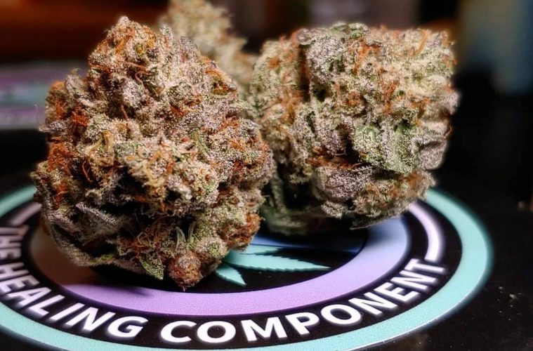 The Healing Component (THC) Is A Hip-Hop Inspired Cannabis Brand Coming To Washington That’s Partnered With Popular Chicago Rapper Mick Jenkins