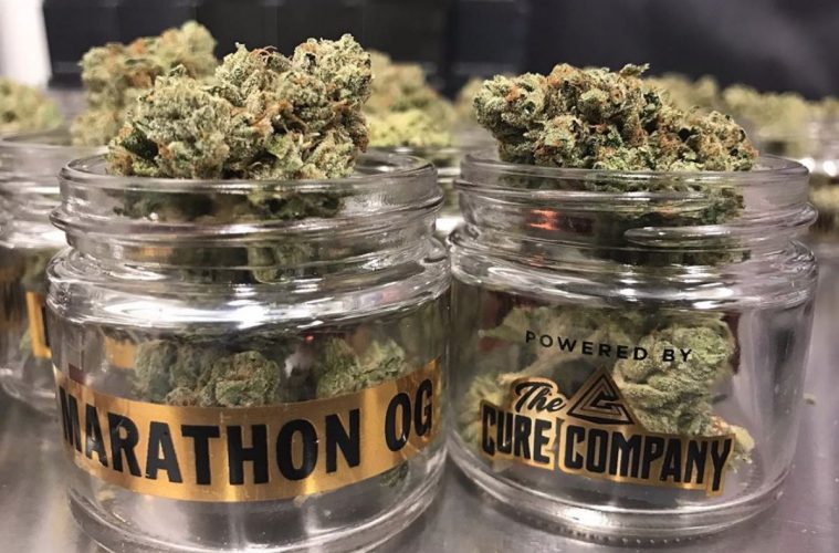 The Marathon OG Strain Is A Hand-Picked Cultivar By Nipsey Hussle Himself