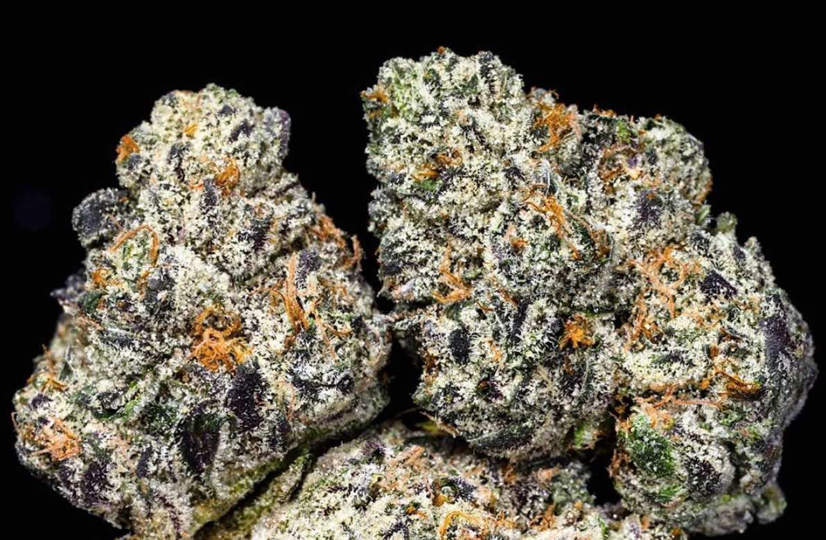 The Skunky Samoas Strain Takes Its GSC Lineage To The Next Level