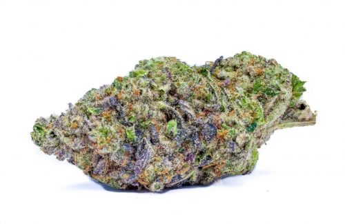 How To Tell If Your Cannabis Is Actually Fire, Or Basically Some Mids Or Reggie