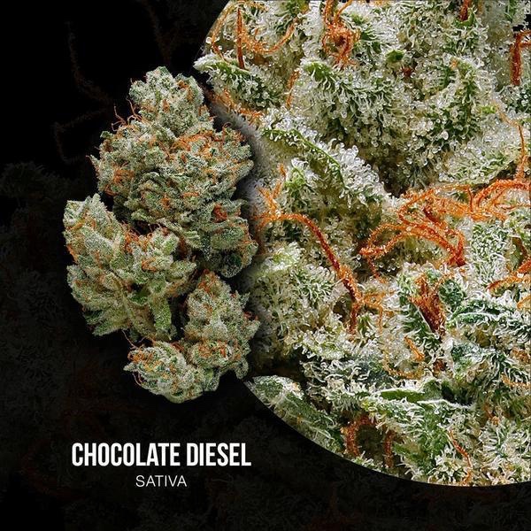 The Fragrant Chocolate Diesel Strain That Reeks Of Oaky Wood And