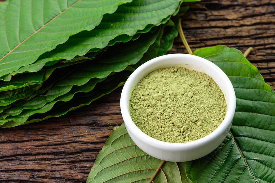 White Malay Kratom Is A Popular Alternative Medicine That Has A Wide Variety Of Uses