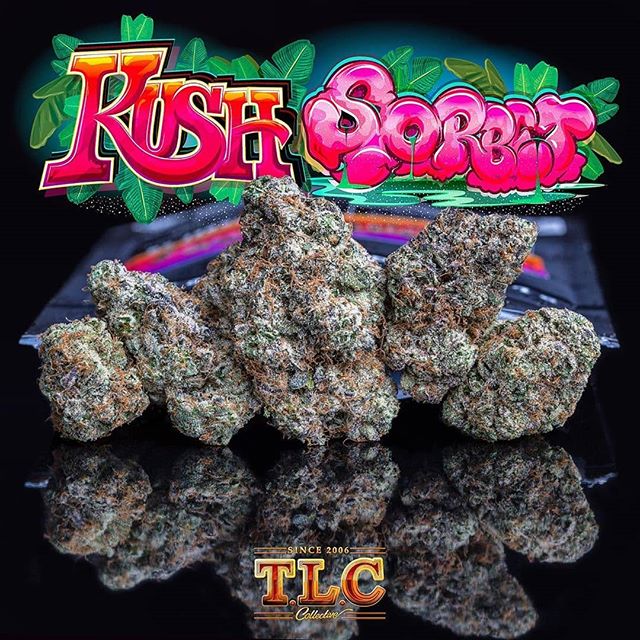 The Delightfully Sweet Kush Sorbet Strain Packs A Powerful High That May Be Enlightening