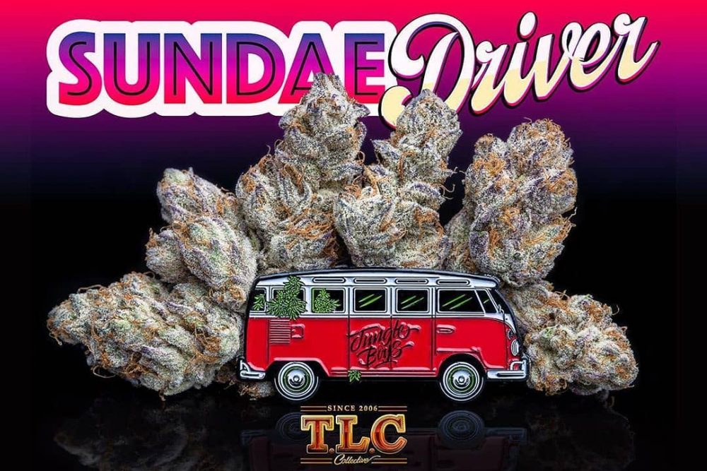 The Fruity And Creamy Sundae Driver Strain May Inject Mellow Vibes Into Any Day