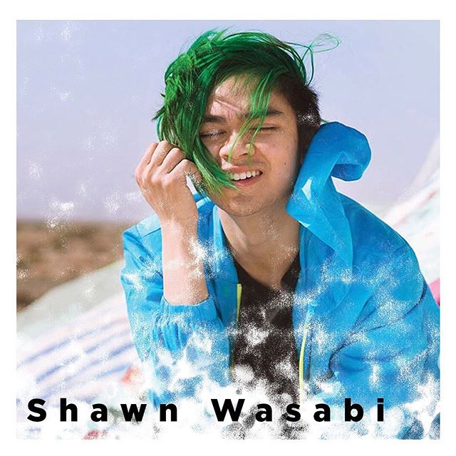 Shawn Wasabi Takes Us On A Tropical Animated Adventure With New