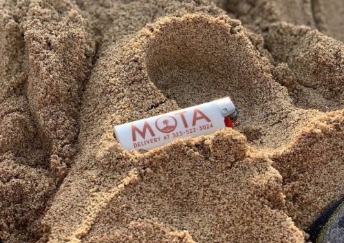 MOTA Is A Los Angeles Dispensary That Sells Clones And Pre-Veg Teens And Carries Their Own Expansive In-House Brand Of Cannabis Products