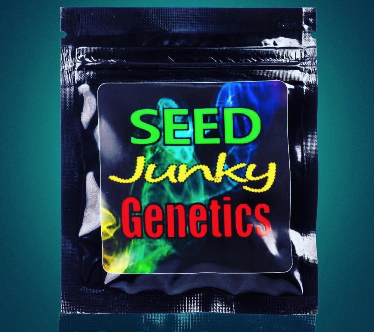 Ten Absolutely Fire Seed Junky Strains Worth Trying