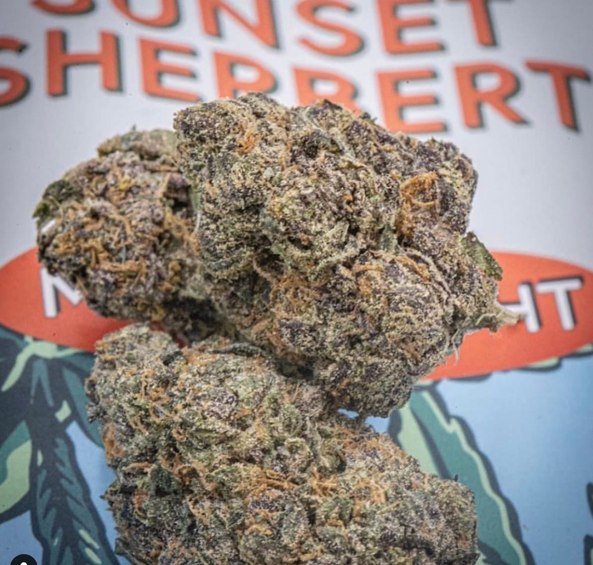 The STIIIZY Downtown LA Flagship Dispensary Brings California Cannabis