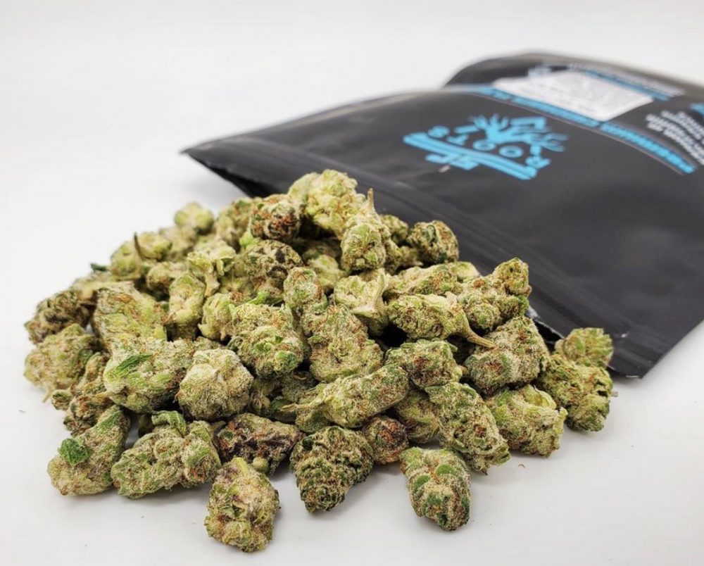 The Thin Mint GSC Strain Has A Sweet Minty Gas Flavor From Its Durban