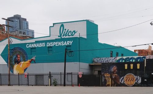 LitCo Vs. Everybody! An Exclusive Interview With Notorious LA Dispensary Owner/Operator, Rez