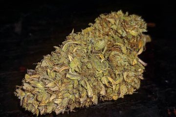 Bubba Kush Strain: These Three Genetic Crosses Take Its Sour Flavors And Tranquilizing Effects To A Whole New Level
