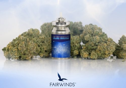 Strain-Specific Cannabis Inhalers Are Now 30% Off At All Evergreen Market Dispensaries Until The Beginning of August