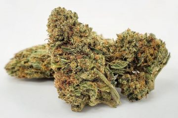 Uplift Your Mind And Tickle Your Taste Buds With The Ambrosial Spice Of The Lambs Bread Strain