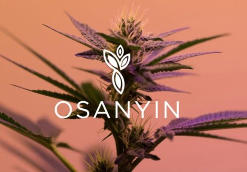 Osanyin: An Equitable and Artisinal Reimagining of Oakland's Cannabis Delivery Game