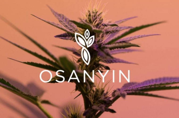 Osanyin: An Equitable and Artisinal Reimagining of Oakland's Cannabis Delivery Game