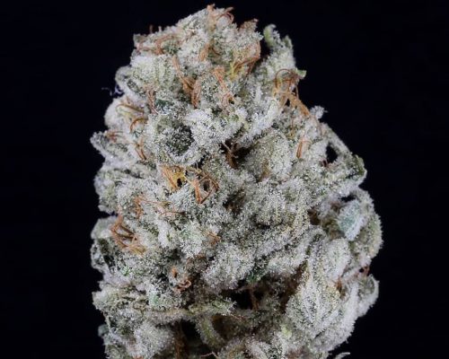 The Piney Garlic Romulan Strain Might Send Your Mind Into Warp Drive And Set Your Body To Stun