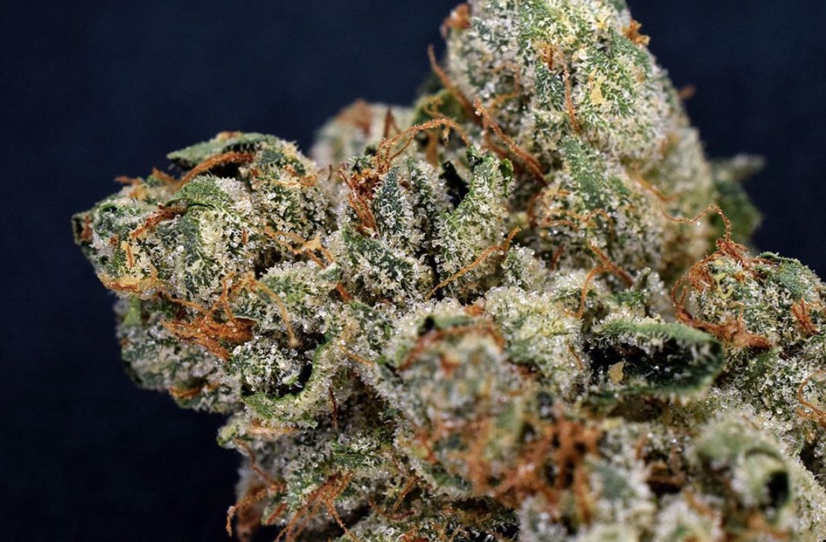 The Outlandishly Skunky True OG Strain is One Of Snoop Dogg's Favorite Strains