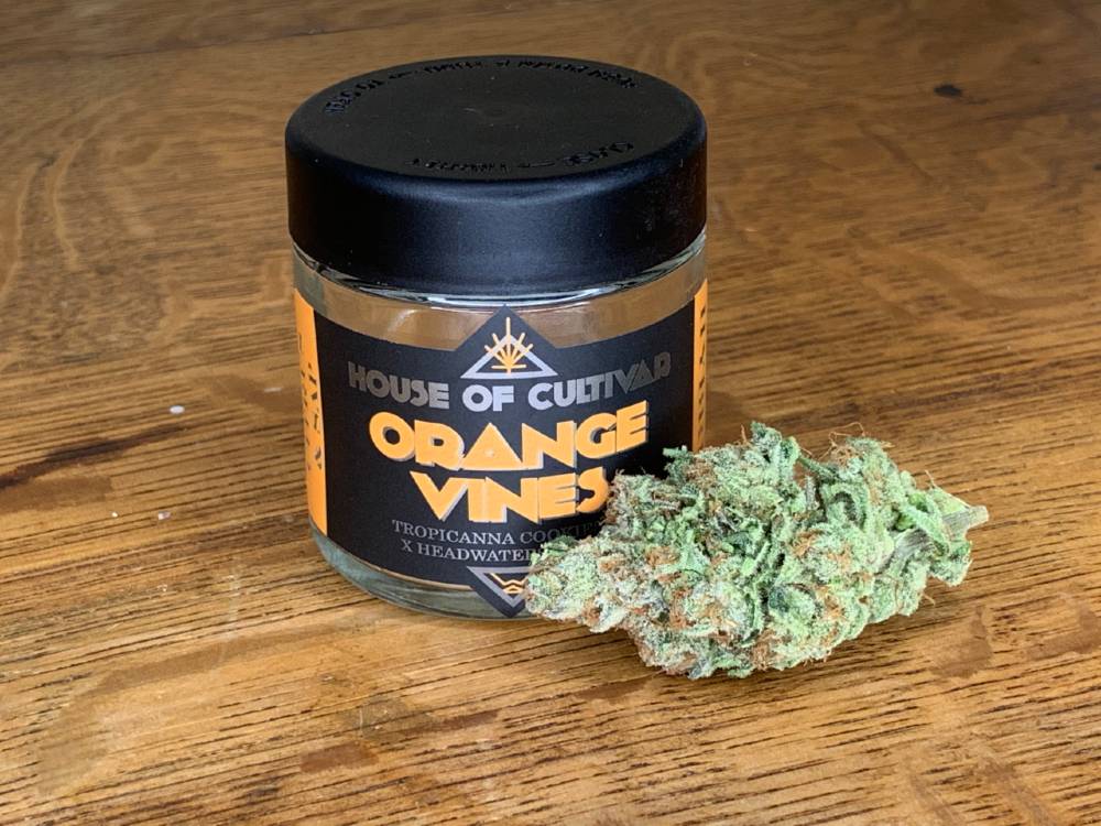 Orange Vines: Blending Tropicanna Cookies And Headwaters Diesel