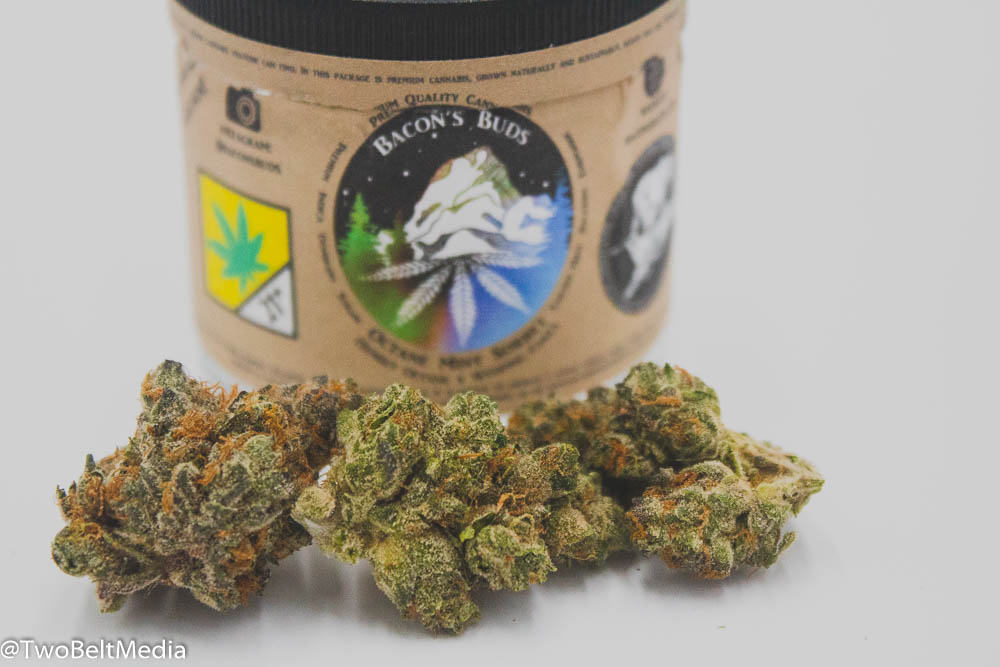 Bacon's Buds' Octane Mint Sorbet Strain Provided Euphoric Highs Behind Sweet Flavors