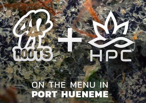 Hueneme Patient Collective Is The First SoCal Dispensary To Carry Social Equity Cannabis Brand, SF Roots