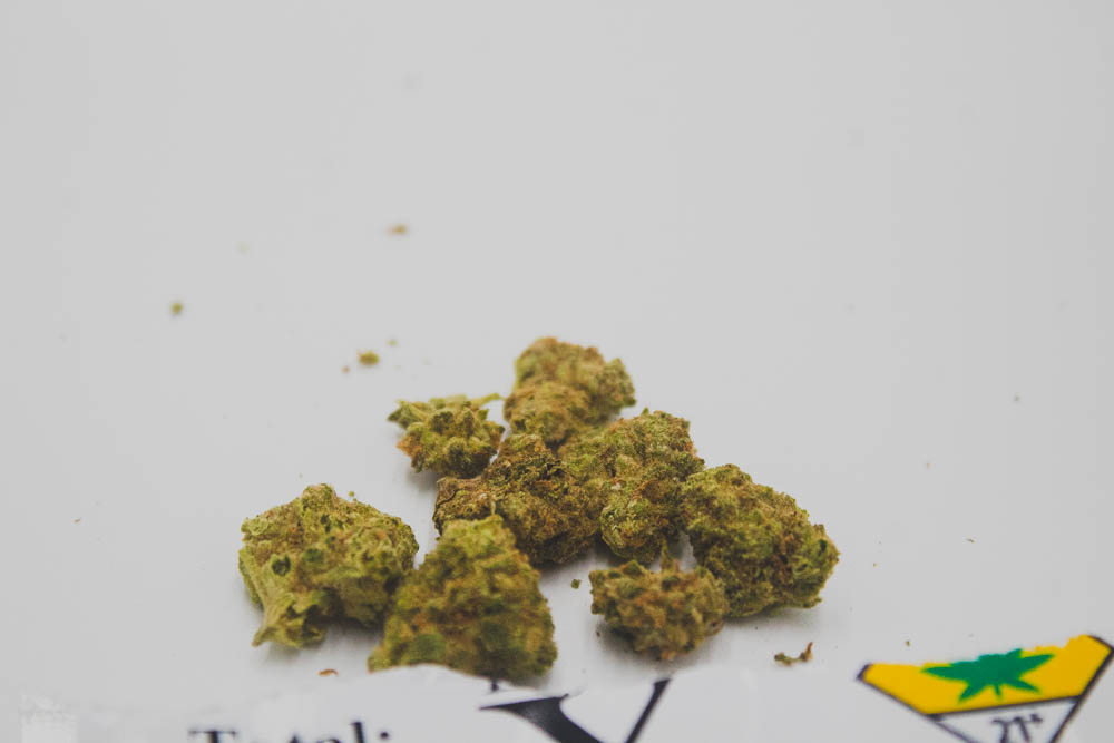 5 Papaya Punch Strain Review Feat. Brand X & Emerald Haze Emporium