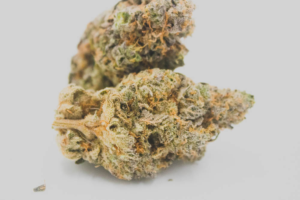 West Coast Weed Tour Review: Grease Monkey Ft. GreenRush in Washington State