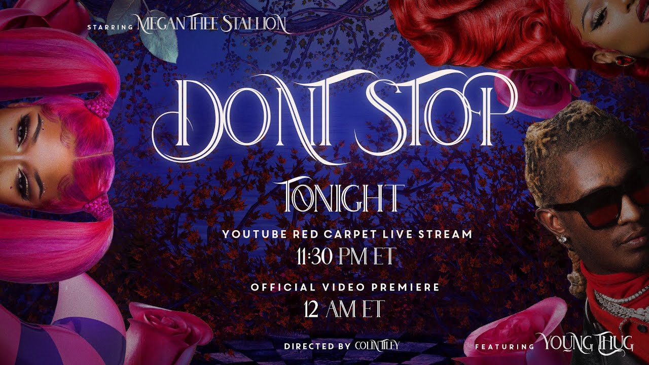 Megan Thee Stallion Don't Stop YouTube | Respect My Region