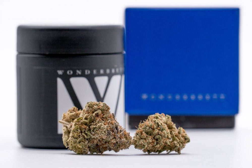 Beyond Blueberry Strain Review Featuring Wonderbrett