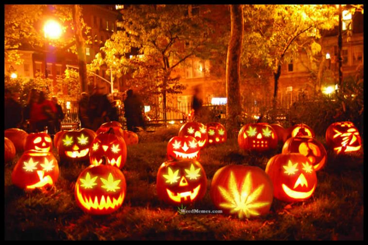 10 Spooky Stoner Costumes That Will Elevate Your High Halloween Look 10 Spooky Stoner Costumes That Will Elevate Your High Halloween Look