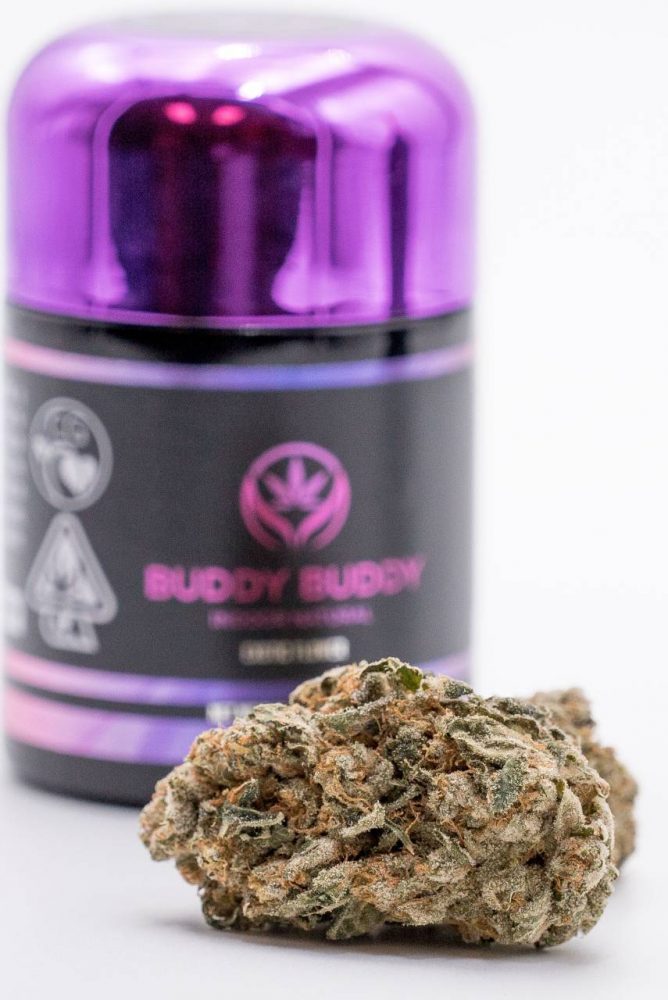 GOT nug in front of black and purple buddy buddy jar