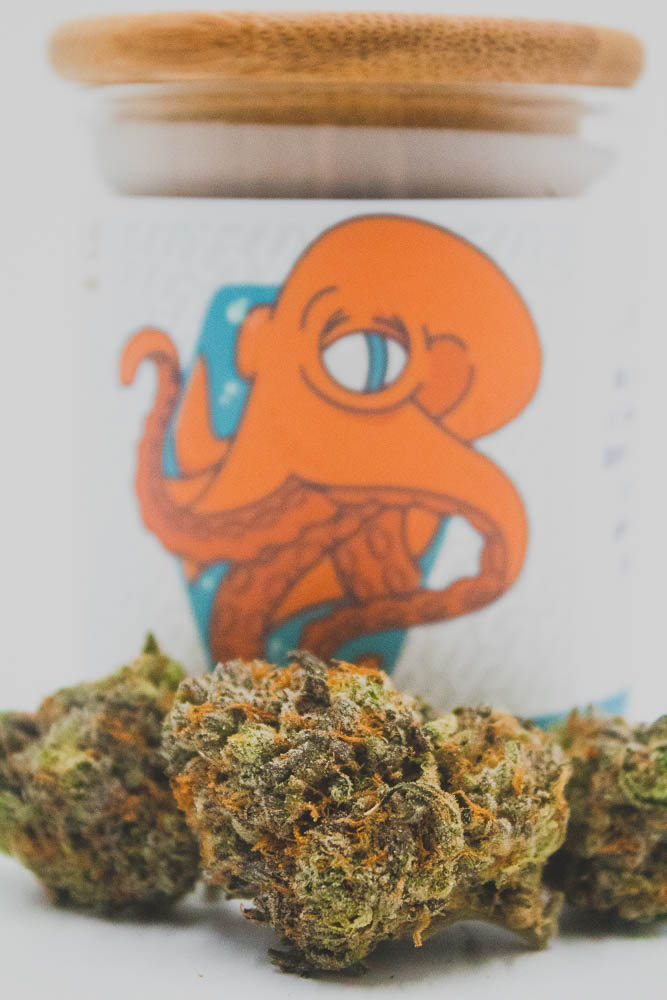 this is a photo of the dank dough strain next to the high tide cannabis jar