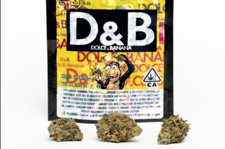 this is a photo of the dolce & banana strain from golden state banana where the nugs are in front of the black and gold bag